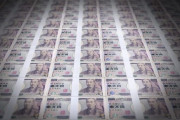【画像】 金庫から3億6千万円を盗んだ28歳のお前らのご尊顔がコチラｗ