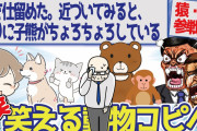 【2ch面白いスレ】 挨拶してきたのは小学校高学年程度の大きさの猿だった？ 動物編#19 笑えるショートコピペ#34【2chまとめ#79】