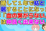 【2ch】結婚して１年で姑と同居することになったが、最初から姑は私と仲良くする気はないとはっきり言っていた【2ch面白いスレ 2chまとめ】