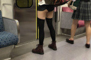 【画像】電車内でパンティが丸見え