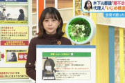 【画像】一番かわいい若林有子アナ、ニット乳がエロ過ぎる