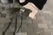 【悲報】まんさん、道の真ん中で大量の小便をぶちまけてしまうωωωωωωωω