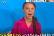 グレタちゃん、日本に行きたい模様　飛行機を使わずにどうやって来るんだ…