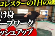 【悲報】プロレスラー、ロープに振られたらちゃんと戻って来る