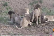 【動画】イオンの喧嘩、ガチでやばい