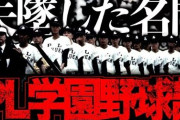 【悲報】PL学園、野球部復活どころか学校の存続危機に…
