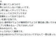 爆乳グラドルさん、ファンをゴキブリで性犯罪者予備軍扱い