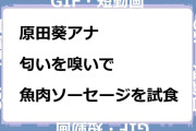 原田葵アナ　匂いを嗅いで魚肉ソーセージを試食GIF