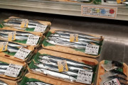 【画像】今年の秋刀魚、値上がりの上にサイズがイワシサイズになる