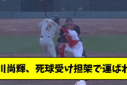 吉川尚輝、死球を受け担架で運ばれる【2chスレ】