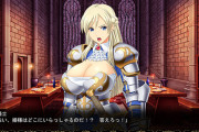 エロゲの女騎士「ほぼ下着です」←これやめてね