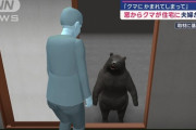 【悲報】クマ、もうなりふり構わなくなる……
