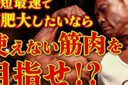 ボディビルダーの筋肉は魅せるための使えない筋肉だけど…
