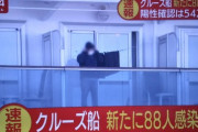 新型コロナウイルス クルーズ船で新たに88人感染確認　合わせて542人に