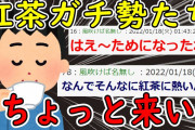 【2ch面白いスレ】紅茶ガチ勢達が集まった結果、めちゃくちゃ勉強になるｗｗｗ【ゆっくり解説】