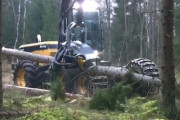 【動画】最近の森林伐採の機械が気持ちよすぎるｗｗｗｗｗｗｗｗ