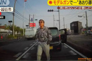 【動画像】あおり運転モデルガン男、完全にただのチンピラ