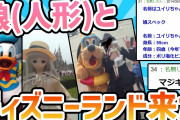【2ch面白いスレ】娘(人形)とディズニーランド来たｗｗｗ