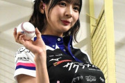 岡田紗佳の乳揉みまくりたいんやが
