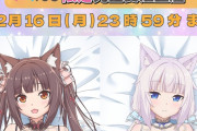 えっちすぎて大興奮！？  「ネコぱら」の抱き枕カバーが登場！