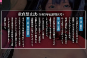 童貞禁止法 国のルールで強●子作り ～実写版～ 原作:魂童夢 売上3万部 拘束痴女作