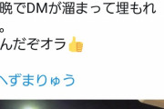 【悲報】へずまりゅうさん、飯塚幸三に凸ろうとしていた！！！！！！