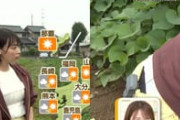 巨乳気象予報士の今井春花がしゃがみ込んで黒パンチラ放送事故