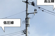 【悲報】まんさんが電線にしゃがみ込みエロエロアピールするも一時停電の大騒ぎへ