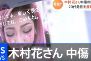 木村花さんtwitterけんけん逮捕か誹謗中傷した犯人の画像を特定し書類送検