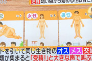 【画像】日本の性教育がヤバすぎる・・・