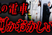 【トラウマ注意】あまりにも不気味すぎる怖い話「変な電車」
