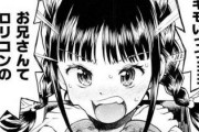 ロリコンてやっぱ巨乳より貧乳が好きなのｗｗｗｗｗｗ