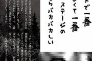 コンサートで一番気持ちよくて一番稼ぐのはステージの歌手だからバカバカしい