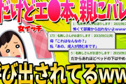 【2ch面白いスレ】腐女子だけど大人の本読んでたの親バレしたっぽい助けてｗｗｗ【ゆっくり解説】