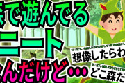 【爆笑2chスレ】森で遊んでるニートなんだけど不思議な事があった【ゆっくり解説】
