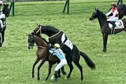 【画像】お馬さん、競馬場で交尾を始める