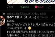 【悲報】Twitterでバズったまんさん、ありえない早さで商品展開してしまい大炎上ｗｗｗｗｗｗ