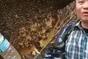 【動画】陽キャ、スズメバチの駆除に失敗して死亡