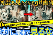 【2ch面白い画像】最高なgif集めたったwww笑いアリ感動アリほっこりアリ不思議アリ