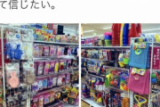 【悲報】海外帰り女さん「ジャップのおもちゃコーナーはなぜ男の子・女の子で別れてるんだ？」
