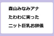 森山みなみアナ　たわわに実ったニット巨乳お辞儀
