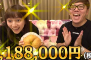 【悲報】HIKAKINさん、1個120万円の梨を食べてしまうwwwww