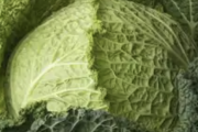 【画像】令和7年のキャベツの値段、ガチで終わる
