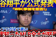 WBCが地上波で見られず　侍ジャパンの「出場辞退」が相次ぐ可能性　Netflixの独占放送の衝撃