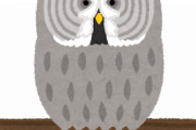 【画像】雨が降った日のフクロウ、疲れ切った人間の顔wｗｗｗｗ