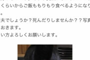 【画像】知恵袋民「愛犬の肛門から何かが飛び出しています　助けて