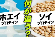 なんで皆ソイプロテインじゃなくてホエイプロテインを飲むんや？