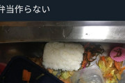 【画像】妊娠まんさん、頑張って作った弁当を旦那が食べずにラーメン屋に行ったことにブチギレ