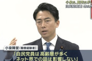 【悲報】進次郎陣営「党員は高齢者まみれだしネットの炎上はノーダメｗ」