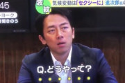 小泉「火力発電減らす！」 外国人「どうやって？」 小泉「……?」